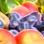 wht-eat-02