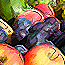 wht-eat-05