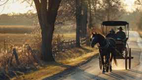 Projet de Dieu_Documentaires anabaptistes menonites amish