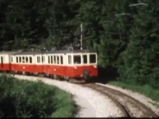 ystc_01