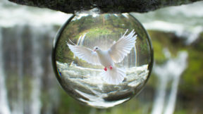 Projet de Dieu_Biosphère de l'esprit